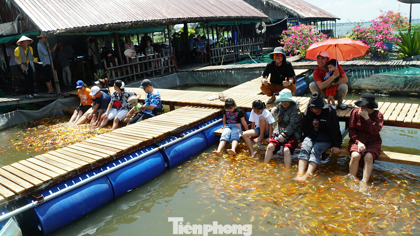 Khách trải nghiệm massage cá trên bè của ông Bảy Bon. Ảnh: Hòa Hội