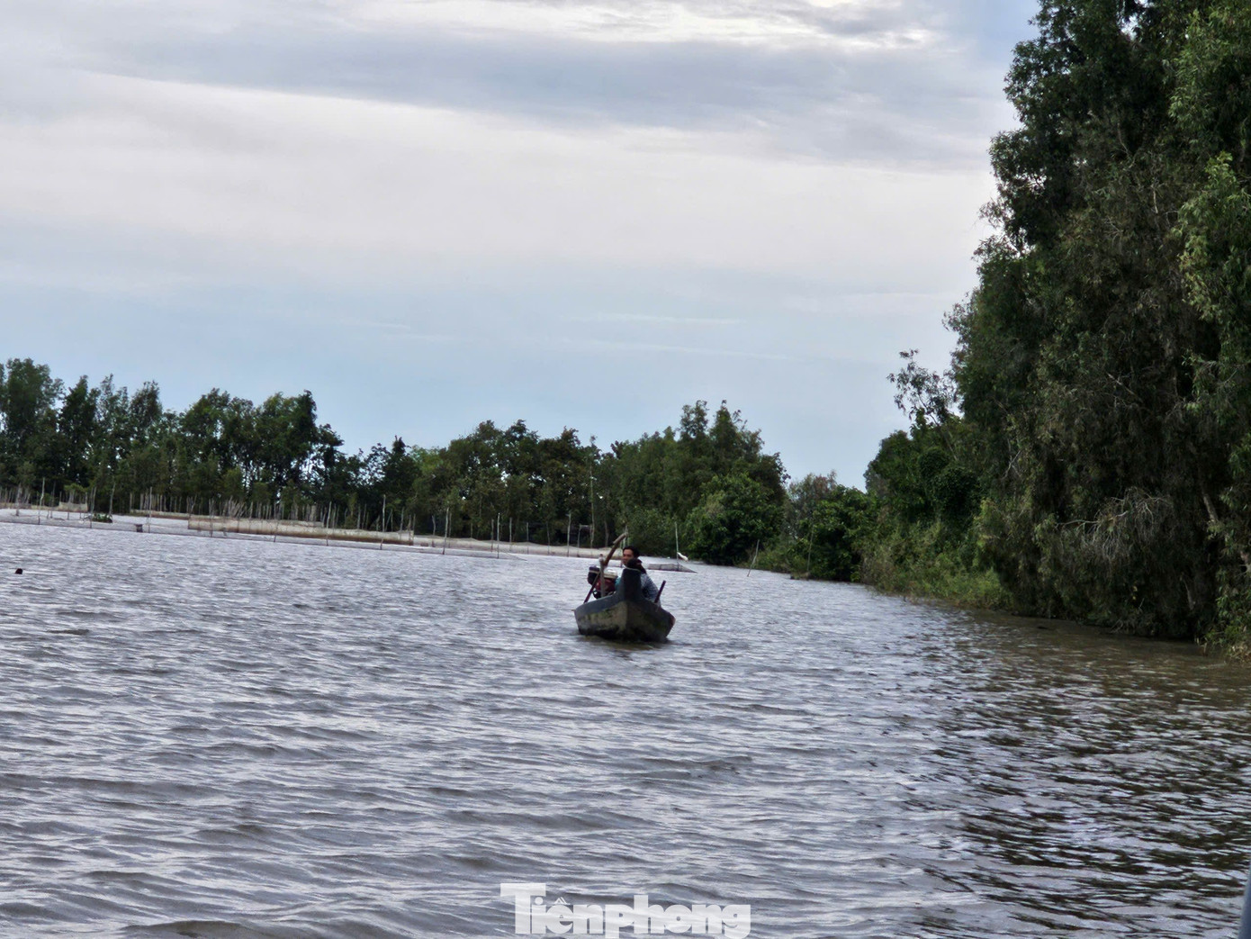 Người dân ra đồng nước giăng lưới bắt cá tự nhiên.
