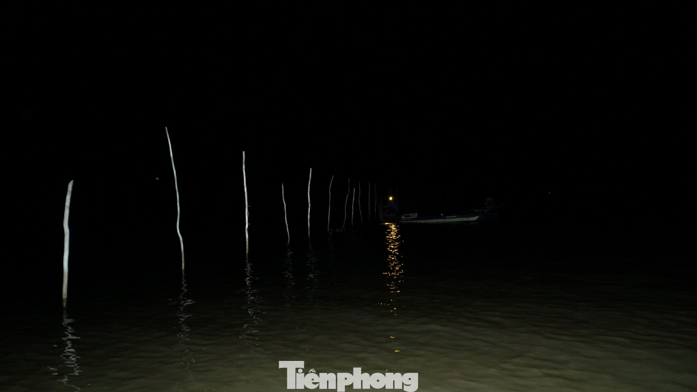 Khu vực biên giới đầu nguồn nước về sông Cửu Long, giáp ranh Campuchia, là một trong những nơi cá "nhập cảnh" về Việt Nam đầu tiên, còn gọi "rốn cá". Ảnh: Hòa Hội.