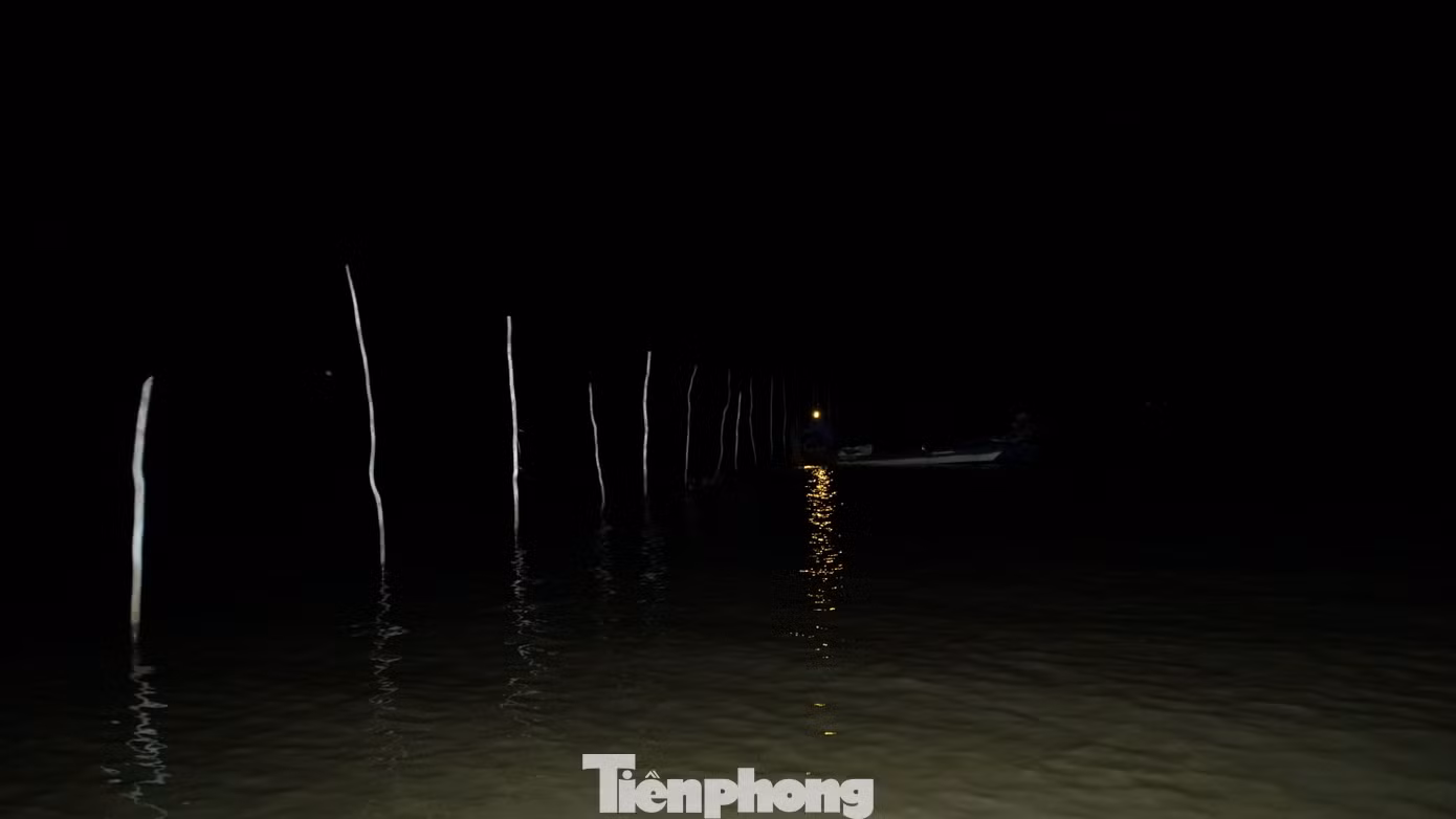 Khu vực biên giới đầu nguồn nước về sông Cửu Long, giáp ranh Campuchia, là một trong những nơi cá "nhập cảnh" về Việt Nam đầu tiên, còn gọi "rốn cá". Ảnh: Hòa Hội.