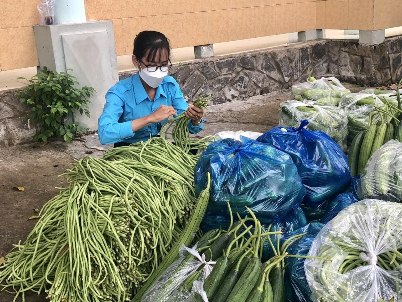 Bé Thơ xếp rau củ gửi tặng bà con TPHCM, Bình Dương Bé Thơ xếp rau củ gửi tặng bà con TPHCM, Bình Dương