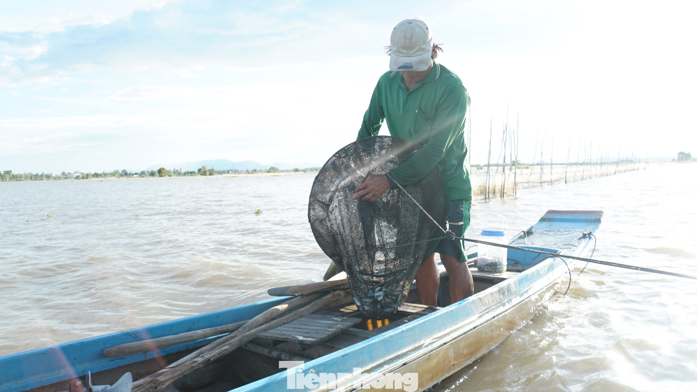 Người dân địa phương cho hay, năm nay nước lên cao hơn năm trước, tuy nhiên, lượng cá tôm ngày càng giảm. Ảnh: Hòa Hội