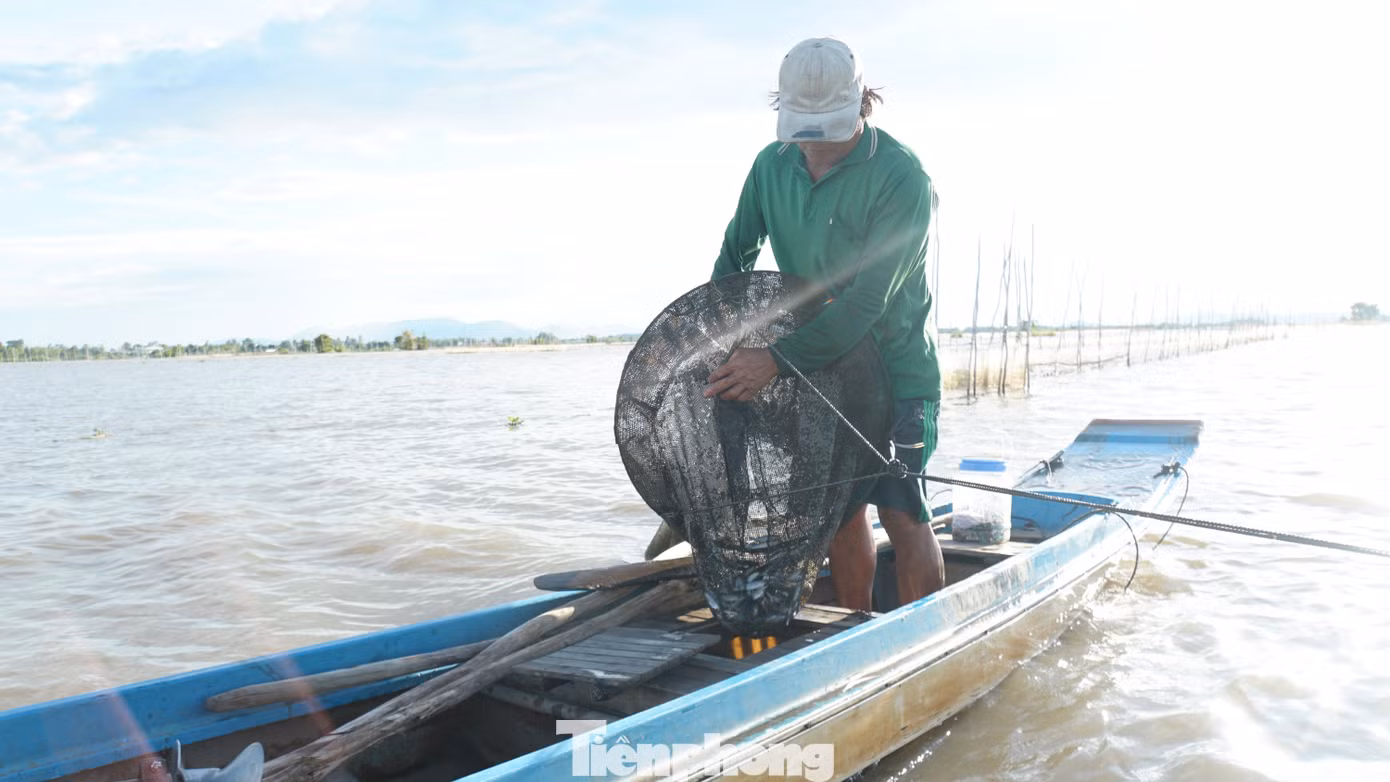 Người dân địa phương cho hay, năm nay nước lên cao hơn năm trước, tuy nhiên, lượng cá tôm ngày càng giảm. Ảnh: Hòa Hội