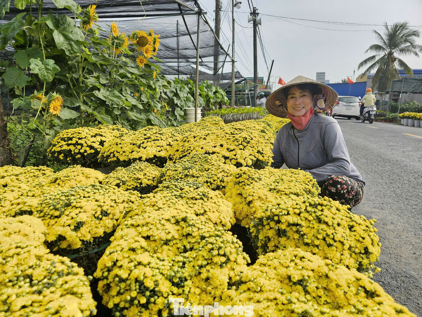 Không khí hoa tràn ngập khắp các con đường ở Làng hoa kiểng Chợ Lách. Ảnh: Hòa Hội