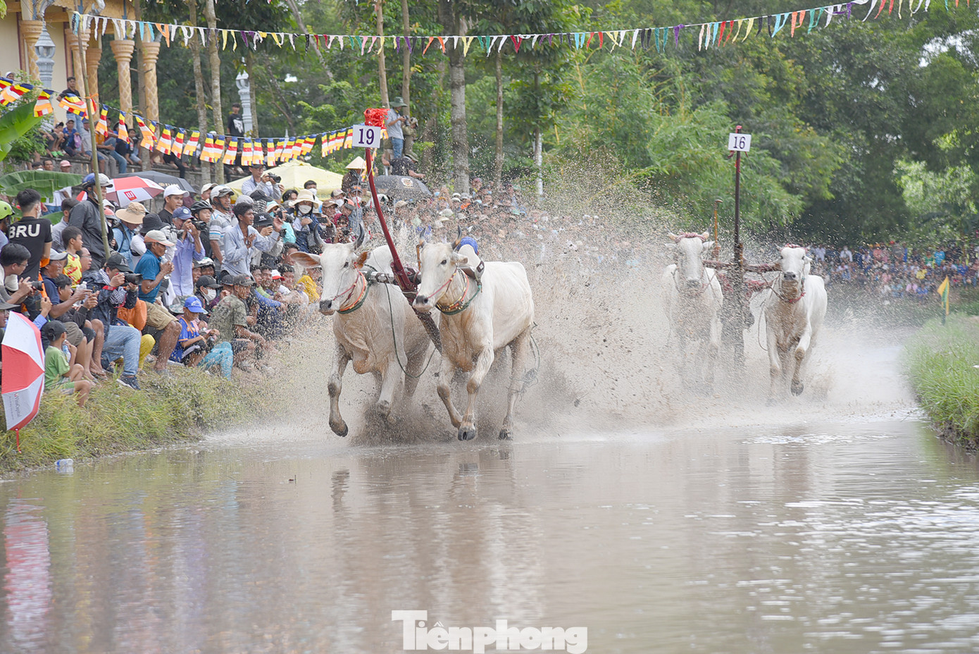 Tranh tài rất gay cấn. Ảnh: Hòa Hội.