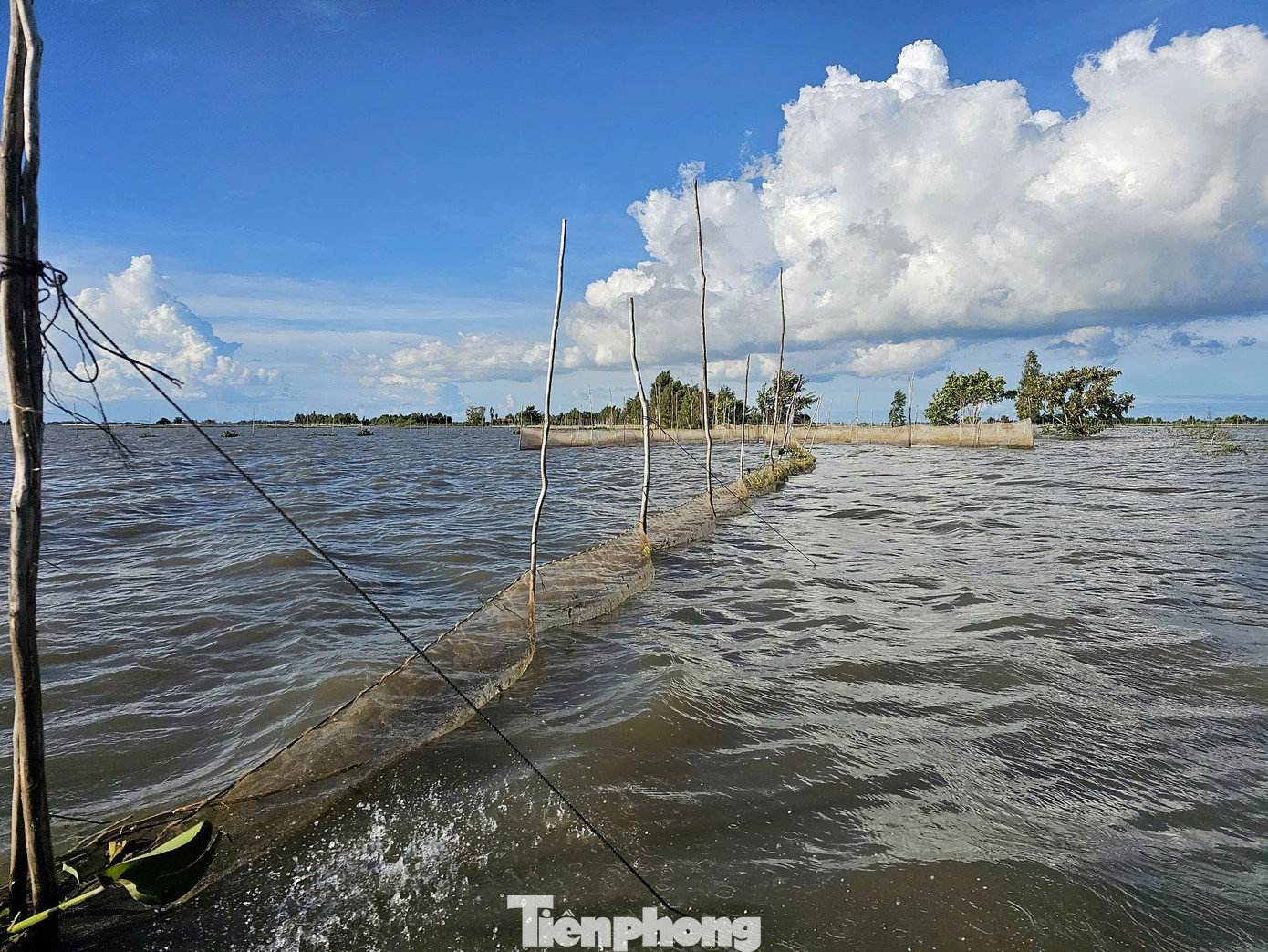 Ghi nhận của PV Tiền Phong, dọc tuyến biên giới giáp Campuchia dài gần 100km trên địa bàn tỉnh An Giang, thời điểm này nước tràn ngập khắp đồng. Ảnh: Hòa Hội