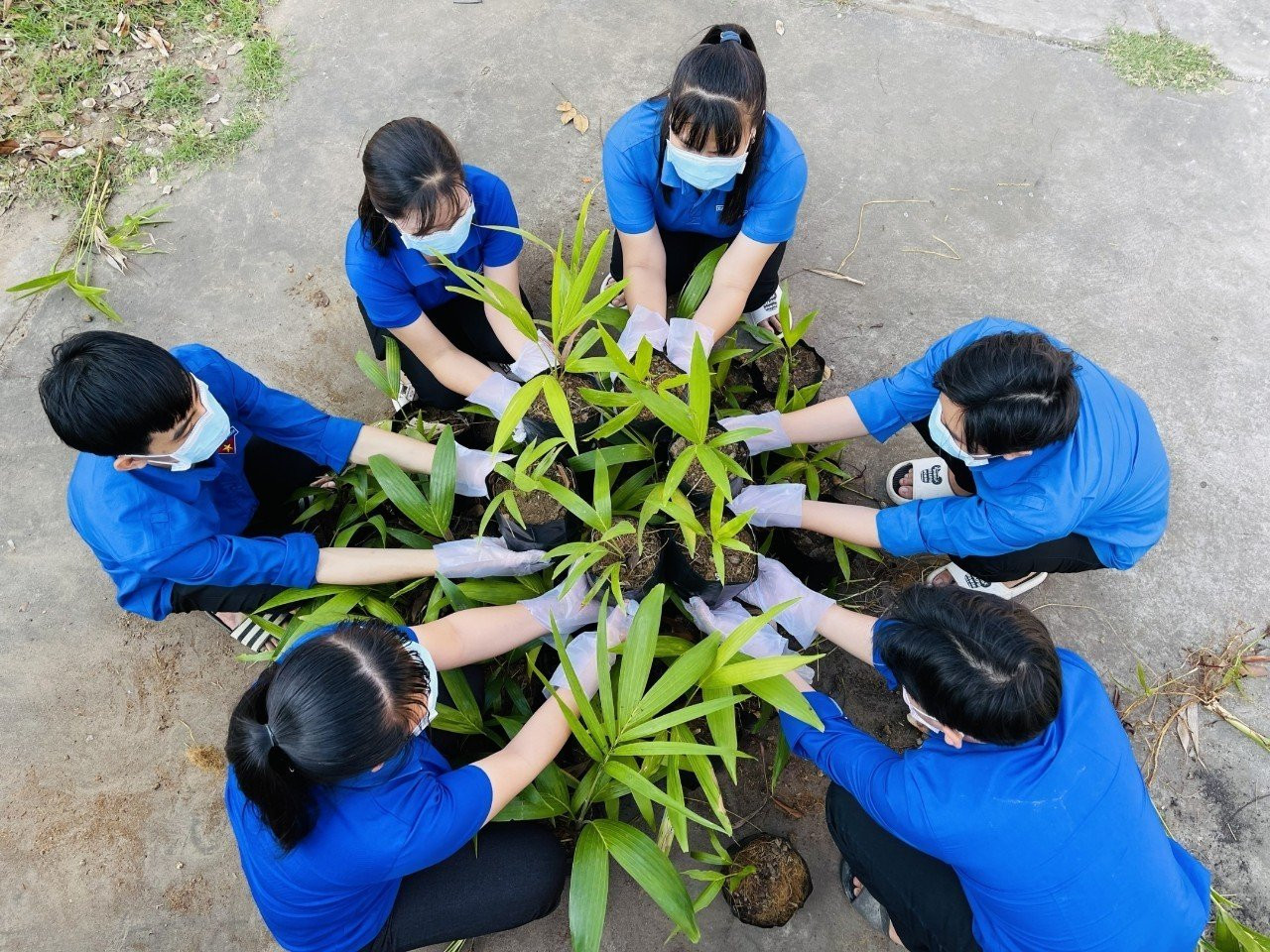 ĐVTN tham gia trồng cây xanh