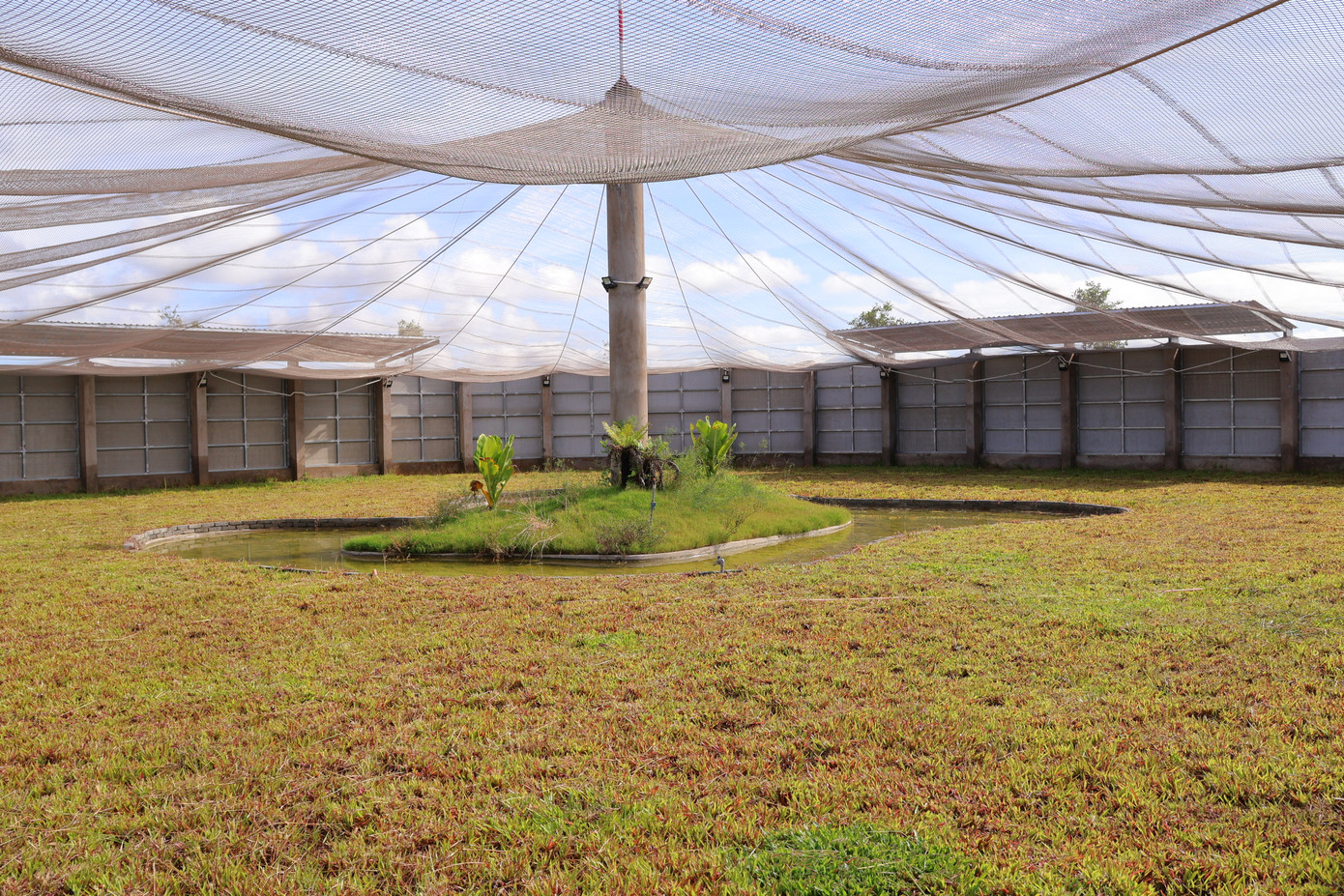 Khu vực bên trong của chuồng nuôi sếu non tại phân khu A3 Vườn Quốc gia Tràm Chim. Khu vực bên trong của chuồng nuôi sếu non tại phân khu A3 Vườn Quốc gia Tràm Chim.