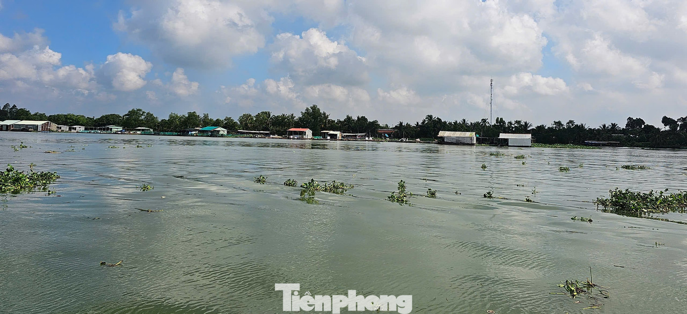 Chùa Tiên Châu nằm giữa sông Cổ Chiên và sông Tiền, không chỉ là một ngôi chùa còn di sản văn hóa lịch sử đậm bản sắc dân tộc.