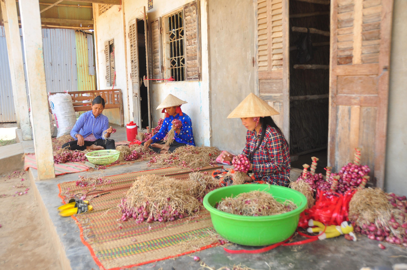 Bà Triệu Thị Ngọc Diễm - Phó chủ tịch UBND thị xã Vĩnh Châu, cho biết, nguyên nhân chủ yếu do ảnh hưởng tình hình dịch bệnh COVID-19 nên xuất khẩu gặp khó khăn. Mặt khác hành tím Vĩnh Châu cũng chịu sự cạnh tranh từ hành tím nhập khẩu từ Thái Lan, Trung Quốc (3.000 đồng/kg) và một số địa phương khác có trồng hành tím cùng thời điểm thu hoạch.