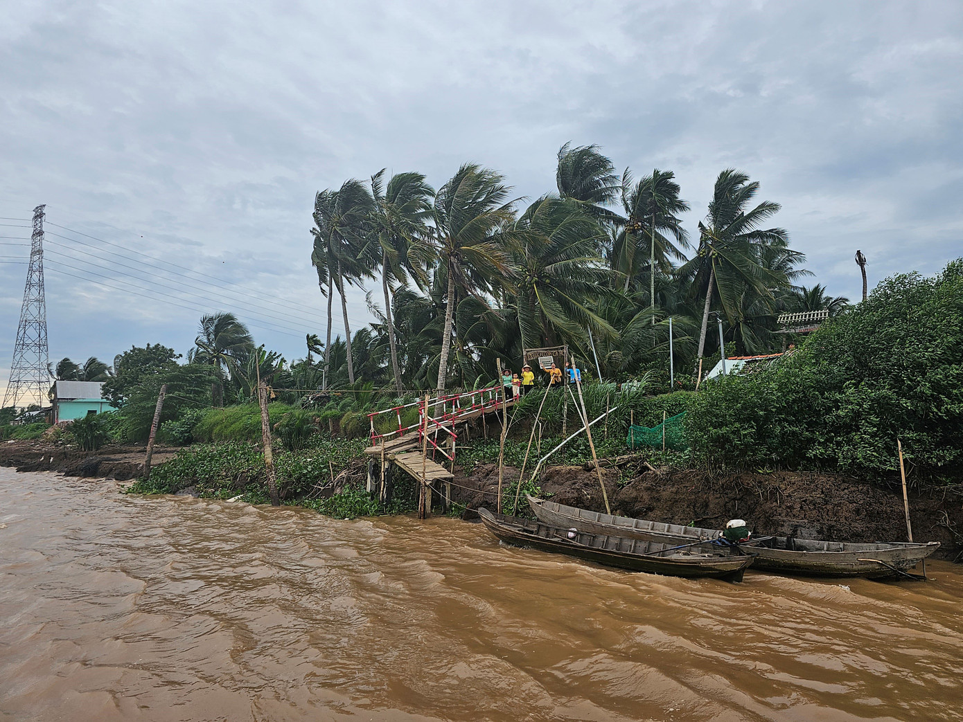 Cồn Hô nổi lên giữa dòng Cổ Chiên (xã Đức Mỹ, Càng Long, Trà Vinh), khi đặt chân đến cồn là không gian thanh bình, cây cối xanh tốt giữa bốn bề sông nước. Trên cồn nhà này cách nhà kia khá xa, không tiếng còi xe, không ánh đèn điện, chỉ có tiếng gió xào xạc qua những rặng dừa, sóng vỗ và những âm thanh làng quê.