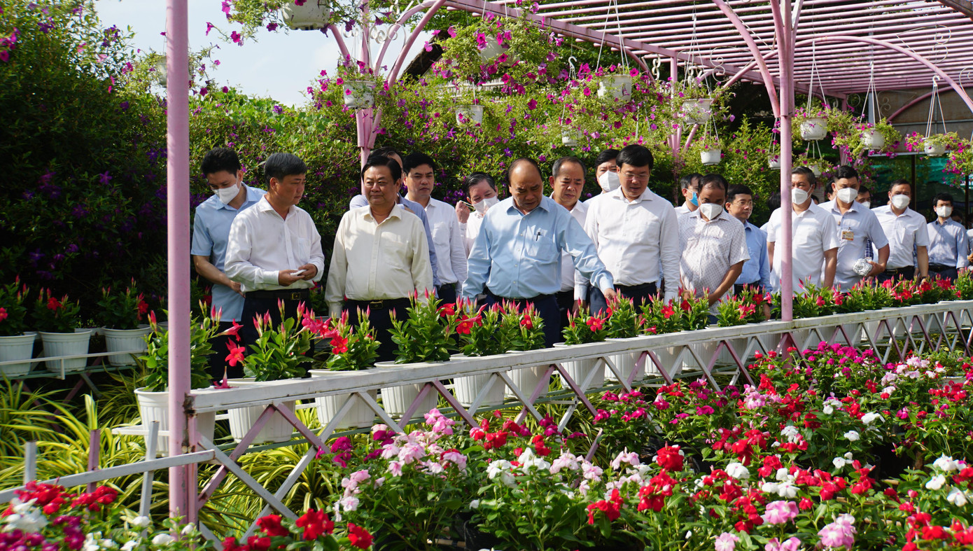 Chủ tịch nước Nguyễn Xuân Phúc thăm Hội quán Cùng nhau làm du lịch tại TP Sa Đéc.Ảnh: Hòa Hội