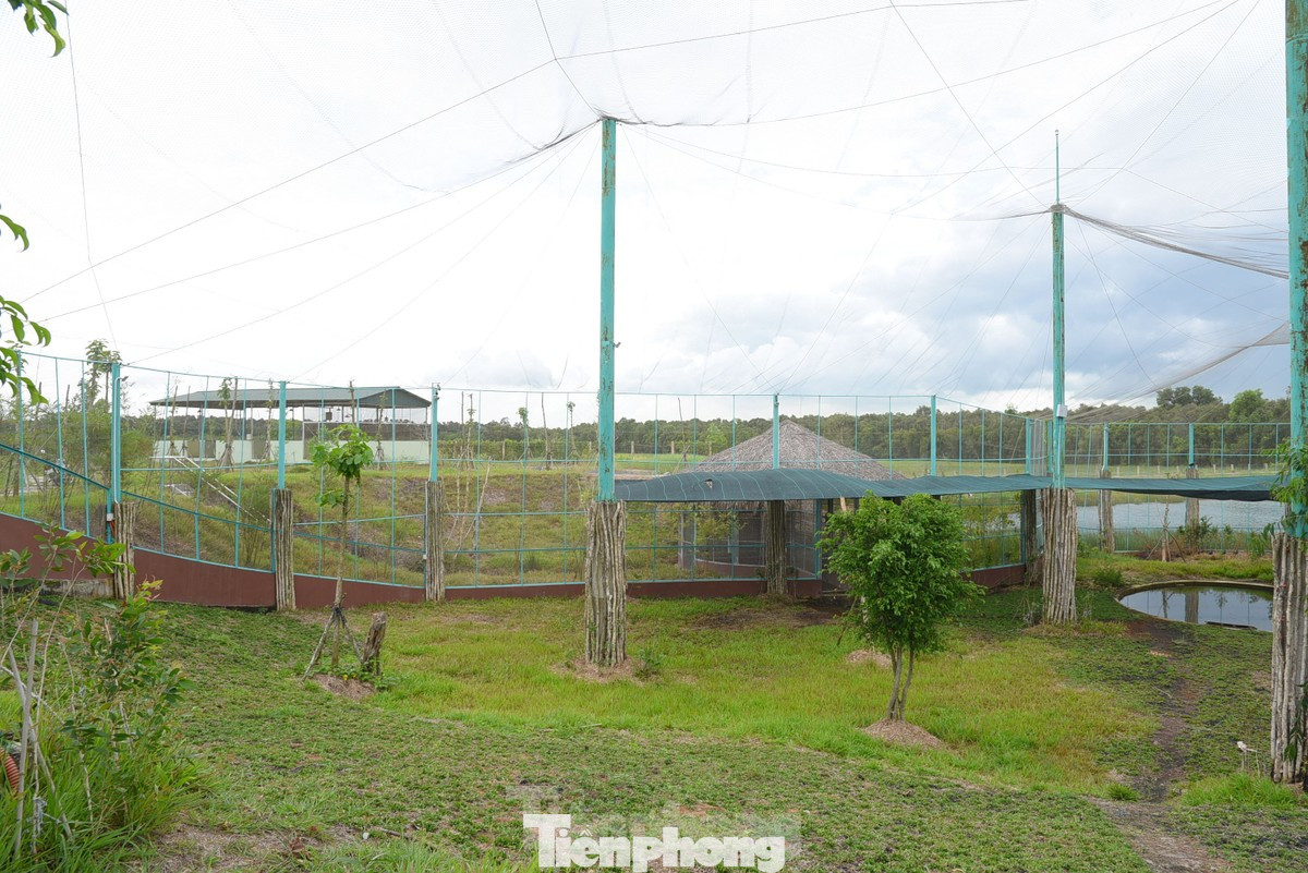 Chuồng nuôi nhốt sếu đầu đỏ tại phân khu A5 dự kiến sẽ được đưa từ Thái Lan về trong năm nay. Ảnh: Hòa Hội