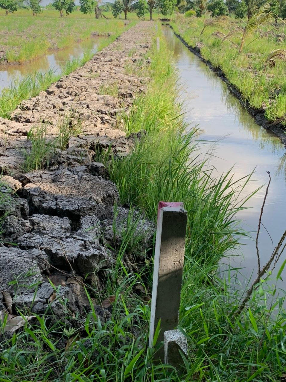 Nhiều vị trí đất đã được các cán bộ, công chức, viên chức mua để đón đầu dự án.