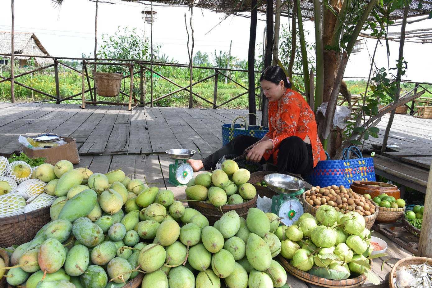Trong những ngày đầu thành lập, Chợ quê cù lao Tân Thuận Đông được đầu tư xây dựng 25 quầy hàng và có 57 người đăng ký bán hàng, do người dân địa phương thuộc hộ khó khăn, hộ nghèo, cận nghèo bán.