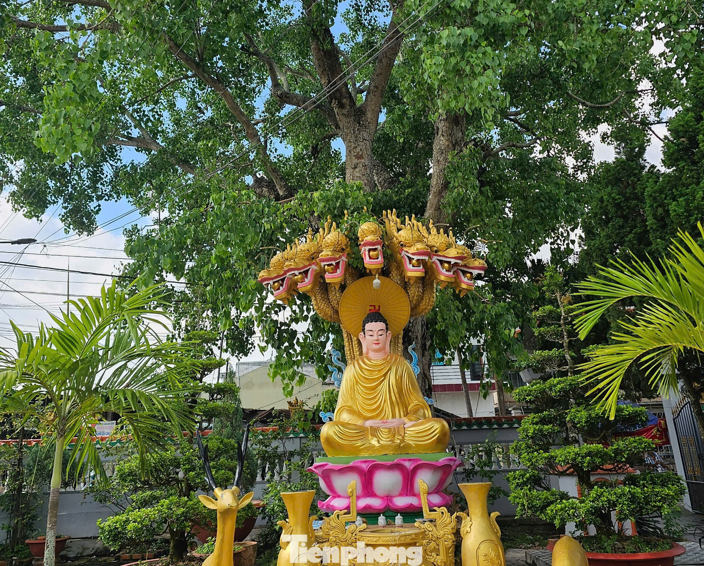 Theo truyền thuyết, vào những đêm trăng sáng, tiên nữ thường xuống bãi sông này để tắm và nô đùa. Do đó, bãi sông được đặt tên Bãi Tiên hoặc bãi Bích Trân, và am thờ cạnh bờ sông được gọi Tiên Châu.