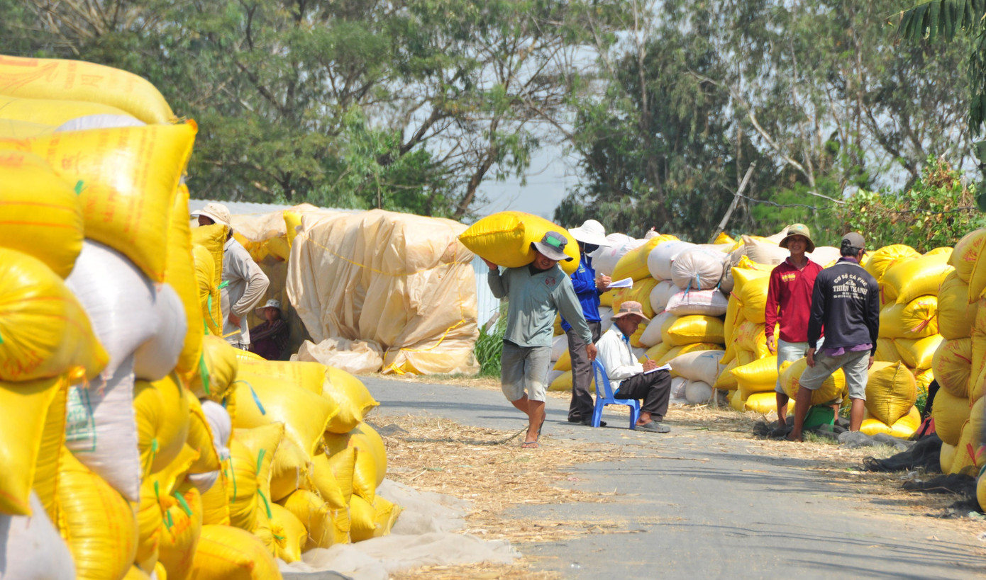 Thời gian qua, người nông dân luôn đặt mục tiêu tăng sản lượng lúa gạo. Thời gian qua, người nông dân luôn đặt mục tiêu tăng sản lượng lúa gạo.