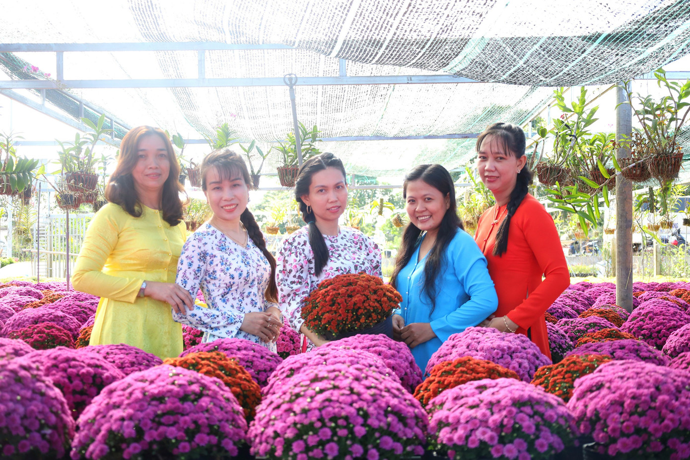 Du khách tham quan làng hoa Sa Đéc. Ảnh: M. Trung. Du khách tham quan làng hoa Sa Đéc. Ảnh: M. Trung.