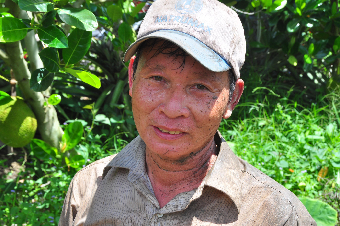 Anh nhân công làm thuê cho biết, hầu như người trồng khoai đều thua lỗ