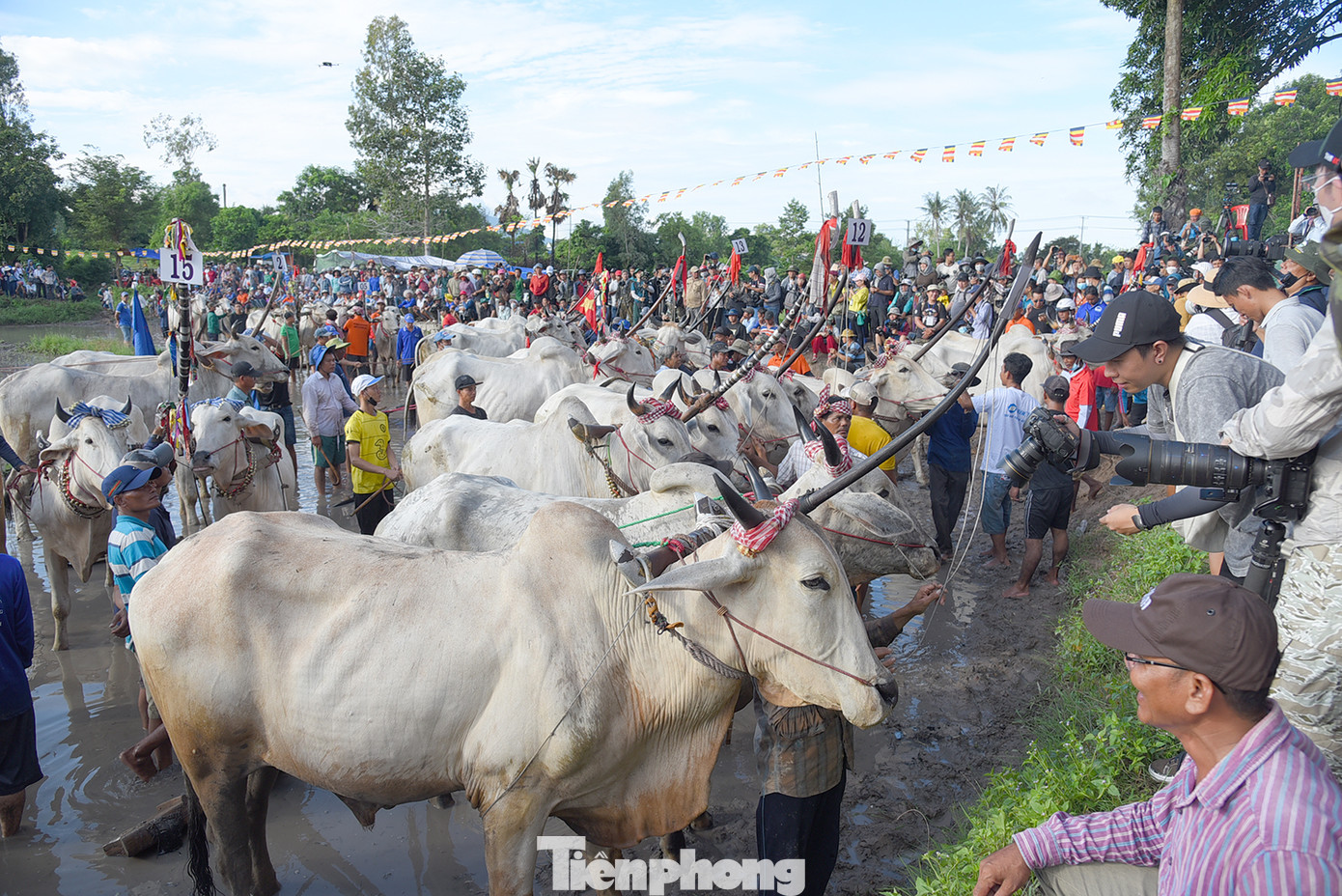 Theo Ban tổ chức, hoạt động đua bò nhằm bảo tồn, phát huy những bản sắc văn hóa truyền thống dân tộc Khmer trên địa bàn tỉnh An Giang; giới thiệu đến các du khách nét độc đáo của Hội đua bò Bảy Núi, góp phần quảng bá thu hút khách du lịch.