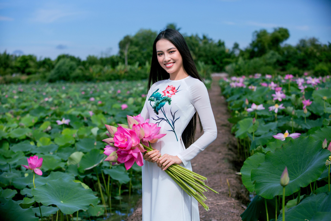 Sen hồng là lợi thế nổi bật cho du lịch tỉnh Đồng Tháp Sen hồng là lợi thế nổi bật cho du lịch tỉnh Đồng Tháp