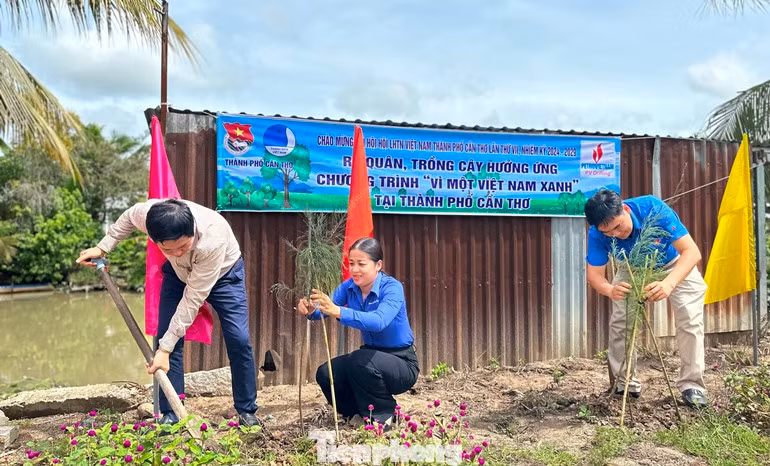 Hoạt động trồng cây xanh sau lễ.