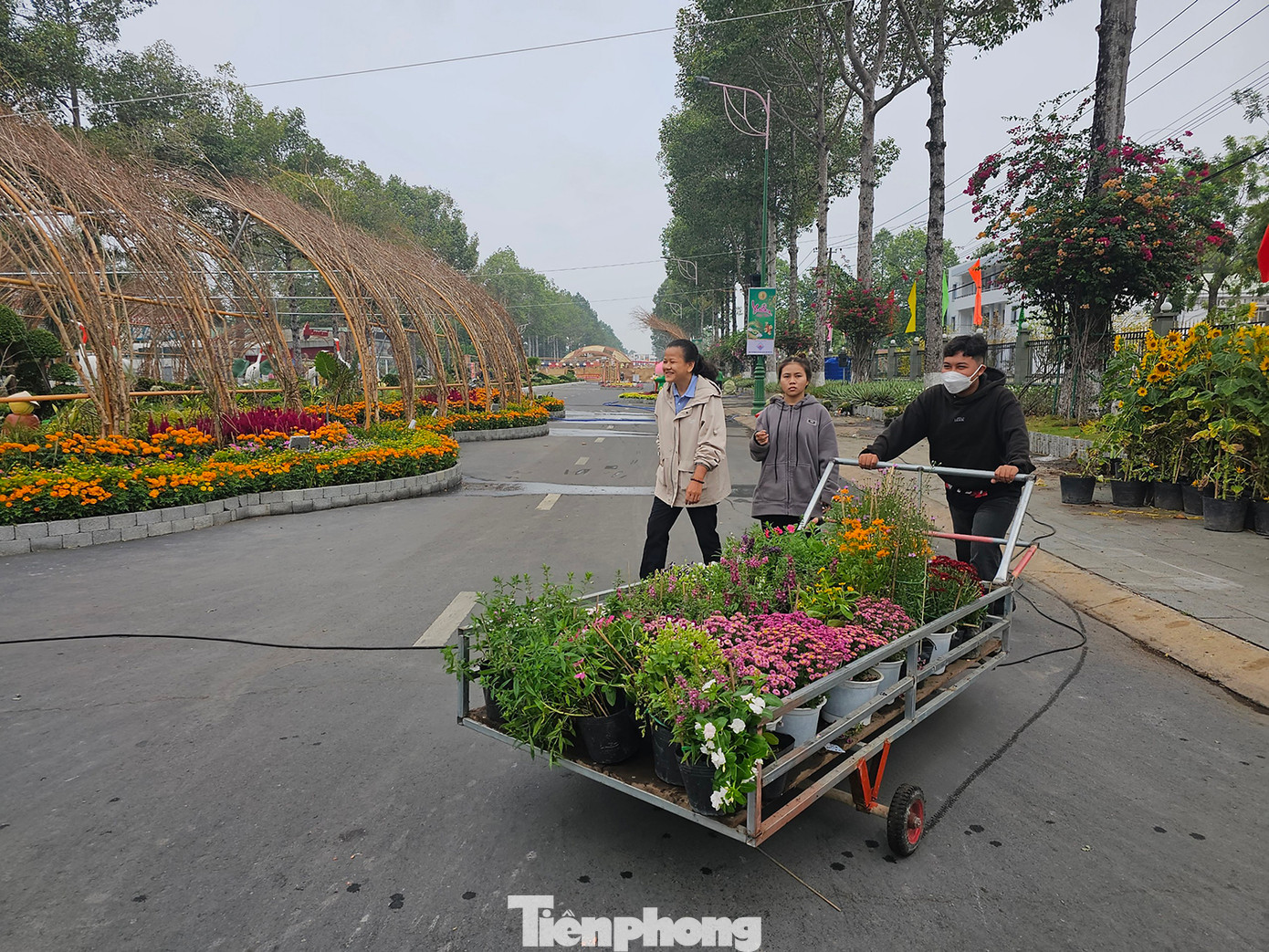 Đường hoa đặt tại đường Lý Thường Kiệt, dài 700m, đang được cấp tập hoàn thiện để kịp khai trương vào tối nay.