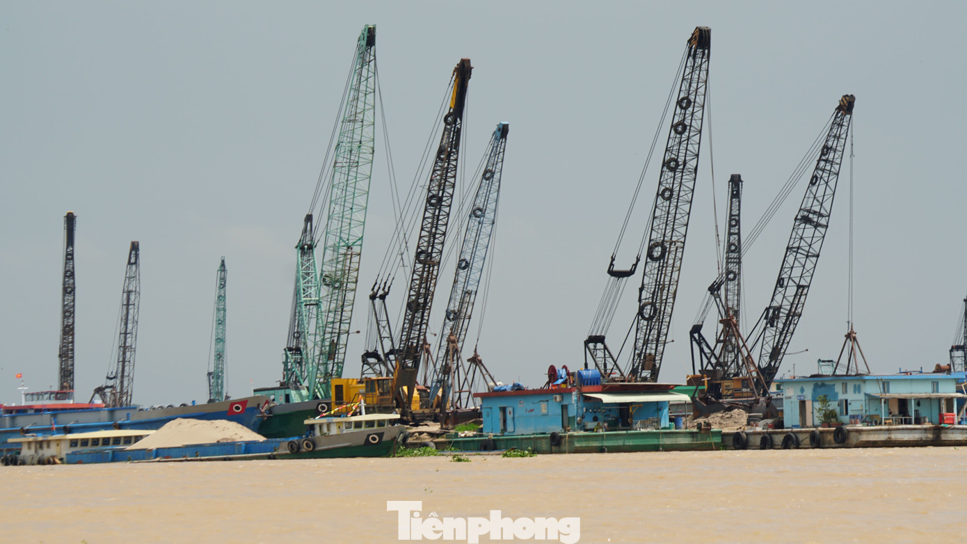 Các xáng cạp khai thác cát trên địa bàn huyện Chợ Mới, tỉnh An Giang. Ảnh: Hòa Hội Các xáng cạp khai thác cát trên địa bàn huyện Chợ Mới, tỉnh An Giang. Ảnh: Hòa Hội