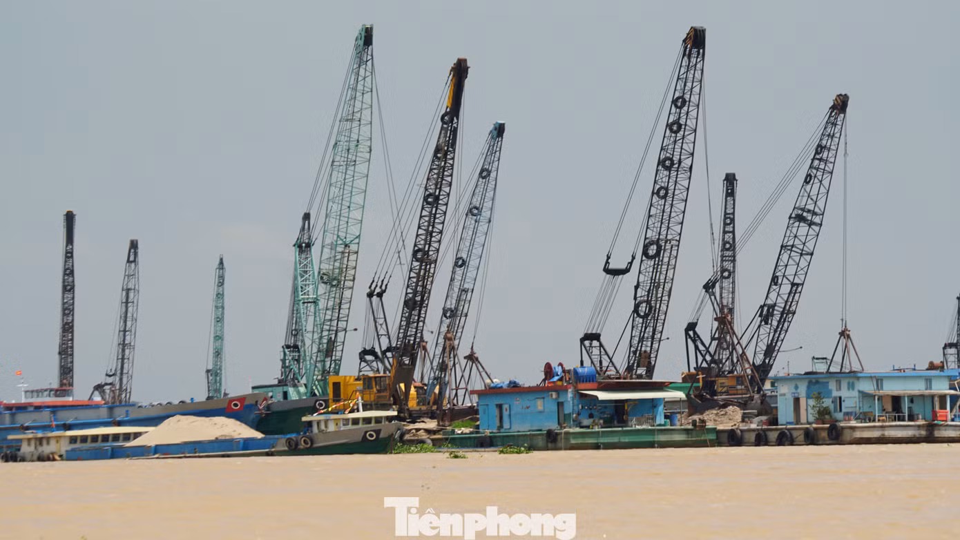 Các xáng cạp khai thác cát trên địa bàn huyện Chợ Mới, tỉnh An Giang. Ảnh: Hòa Hội Các xáng cạp khai thác cát trên địa bàn huyện Chợ Mới, tỉnh An Giang. Ảnh: Hòa Hội