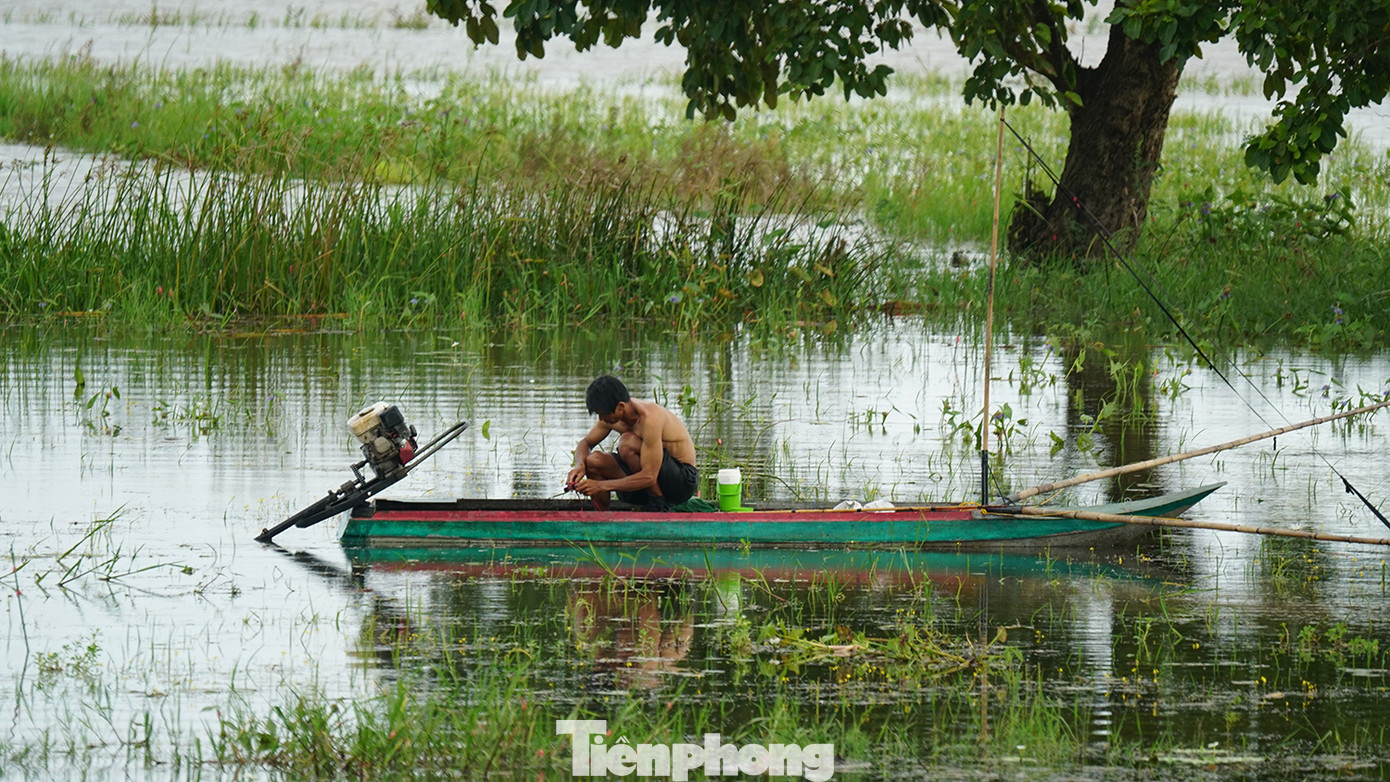 Người dân đẩy côn bắt cá ngoài đồng lũ. Ảnh: Hòa Hội.
