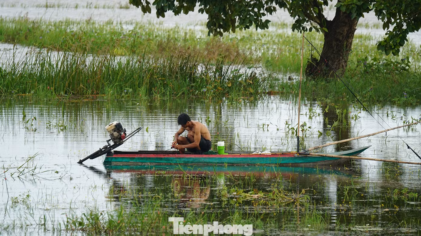 Người dân đẩy côn bắt cá ngoài đồng lũ. Ảnh: Hòa Hội.
