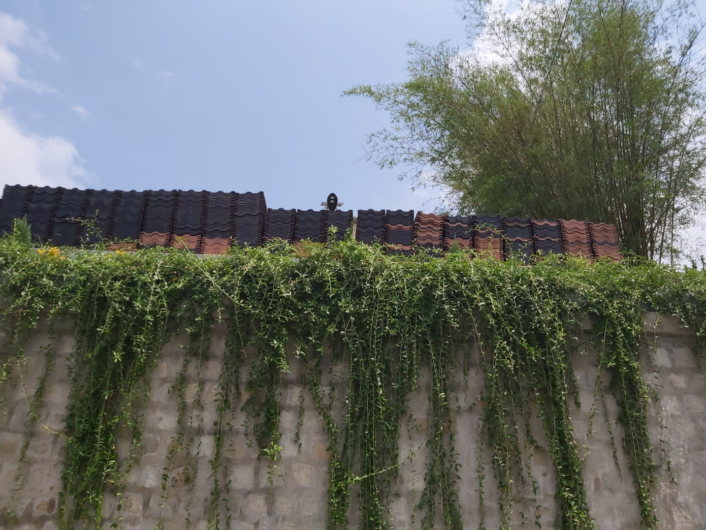 Mái ngói công trình nhà ông Thành đã được tháo dỡ tập kết lại một góc. Ảnh: An Bình. Mái ngói công trình nhà ông Thành đã được tháo dỡ tập kết lại một góc. Ảnh: An Bình.