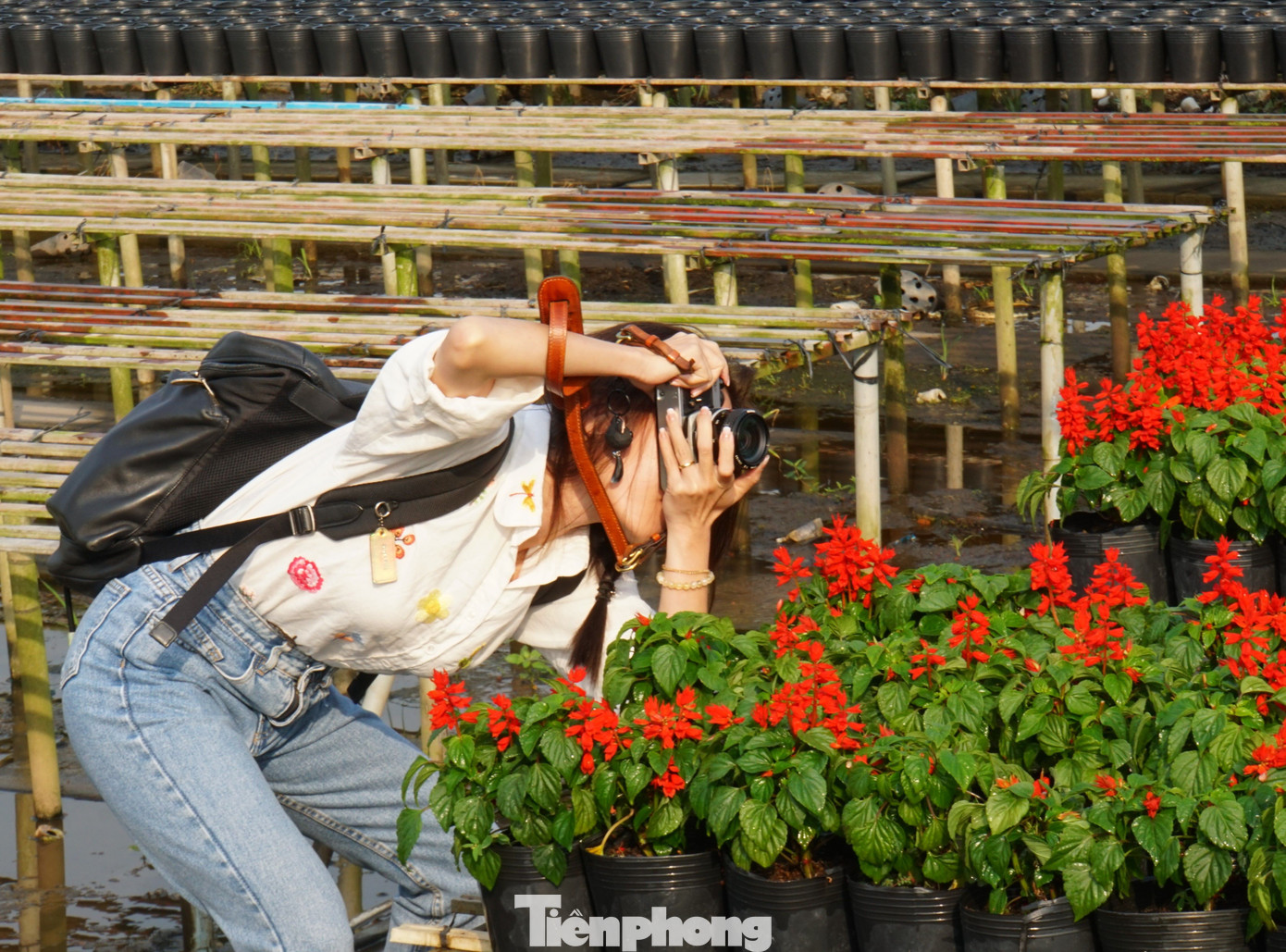 Du khách chụp ảnh tại làng hoa Sa Đéc. Ảnh: Hòa Hội