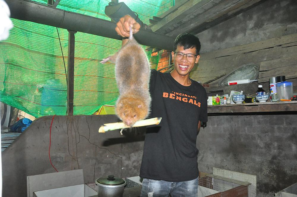 Bạn trẻ ở An Giang khởi nghiệp với mô hình nuôi dúi. - Ảnh: Hòa Hội Bạn trẻ ở An Giang khởi nghiệp với mô hình nuôi dúi. - Ảnh: Hòa Hội