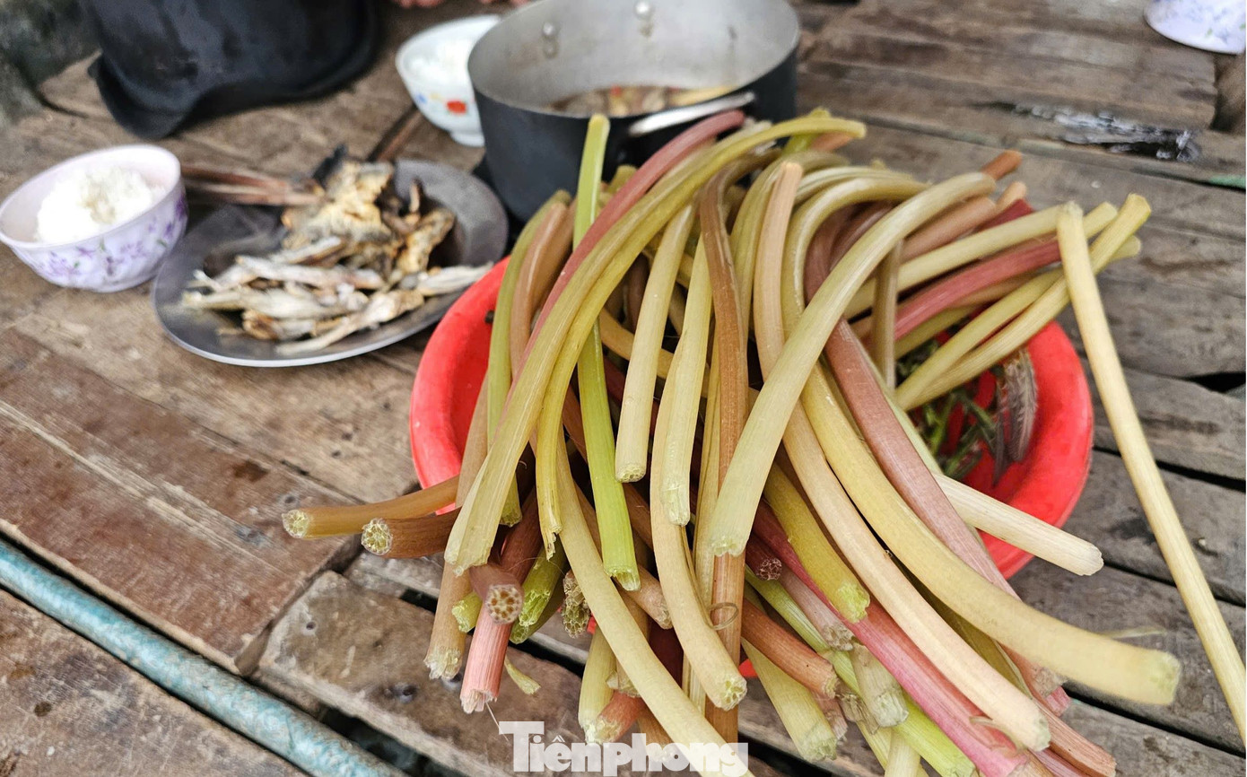 Bữa cơm dân dã giữa đồng nước với bông súng, cá đồng. Ảnh: Hòa Hội