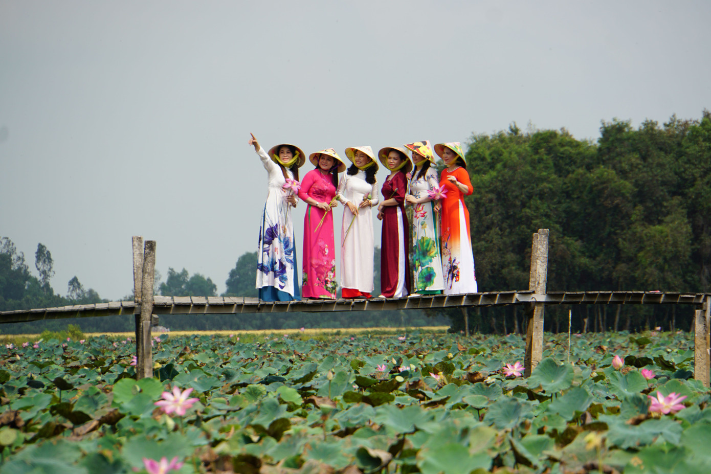 Báo Tiền Phong góp phần lan tỏa hình ảnh Đất Sen hồng - Đồng Tháp.