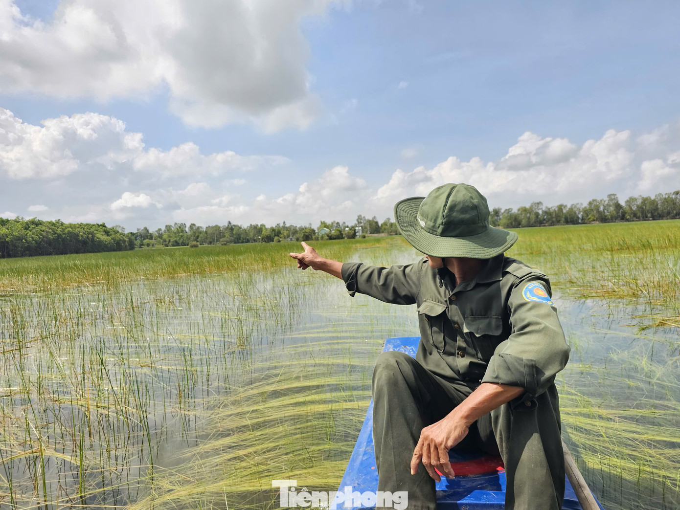 Vườn Quốc gia Tràm Chim rộng hơn 7.500 ha, được công nhận là Ramsar (vùng đất ngập nước có tầm quan trọng quốc tế về sinh học và bảo tồn) thứ 4 của Việt Nam. Nơi đây có nhiều loài chim quý, đặc biệt là sếu đầu đỏ trú ngụ từ tháng 12 đến tháng 4 năm sau mới rời đi. Ảnh: Hòa Hội