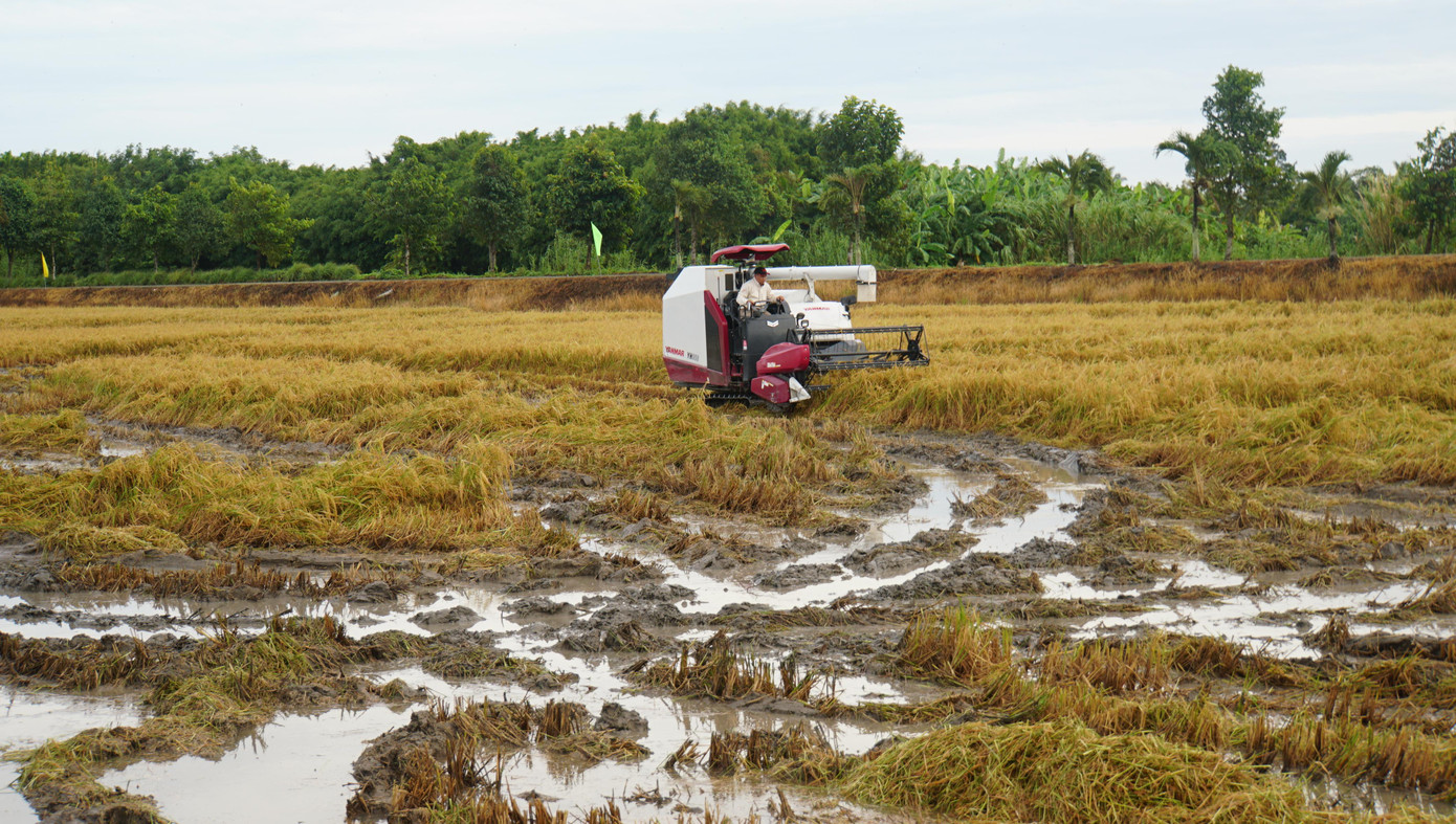 Yanmar Việt Nam trình diễn máy gặt đập liên hợp. Ảnh: Hòa Hội