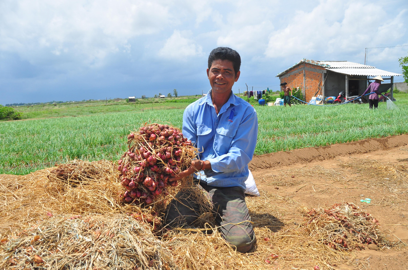 Còn ông Trần Giàu (cùng ấp Giồng Nổi) có 0,4 ha thu hoạch gần 7 tấn hơn 2 tháng nay cũng bán không được, chất đống trong nhà. "Từ trước đến giờ chưa năm nào như năm nay, mấy năm trước giá có rẻ còn 7.000 -8.000 đồng/kg cũng có người mua, còn năm nay thì thua", ông Giàu than thở.
