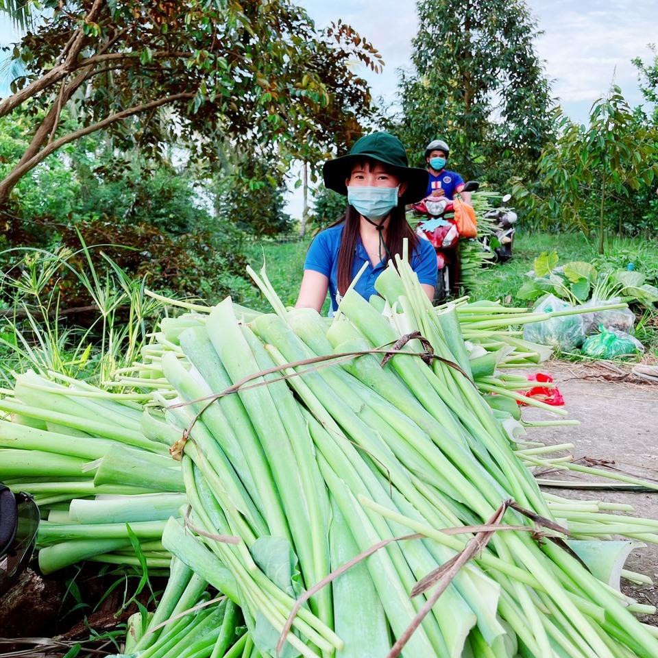 ĐVTN đến nhà dân thu gom nhu yếu phẩm mang về Chợ 0 đồng tặng cho bà con ĐVTN đến nhà dân thu gom nhu yếu phẩm mang về Chợ 0 đồng tặng cho bà con