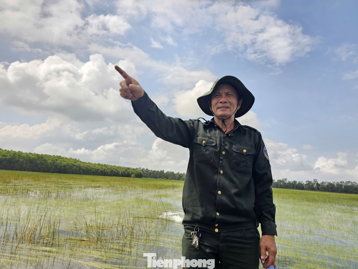 “Hồi tháng 3, chúng tôi đi kiểm tra thiết bị phòng cháy chữa cháy ở vùng lõi khu A5 tình cờ phát hiện 4 cá thể sếu đầu đỏ. Khi ấy mọi người mừng rồi hô hoán lên, người lấy điện thoại quay lại. 4 cá thể Sếu bay ngang tầm mắt rồi từ từ hạ cánh đáp xuống khu rừng tràm. Khoảng 30 phút sau, 4 con sếu tung cánh bay lên bầu trời, lượn vòng quanh rồi bay hướng về khu A4”, ông Lê Ngọc Thanh, cán bộ Vườn Quốc gia Tràm Chim nhớ lại. Ảnh: Hòa Hội