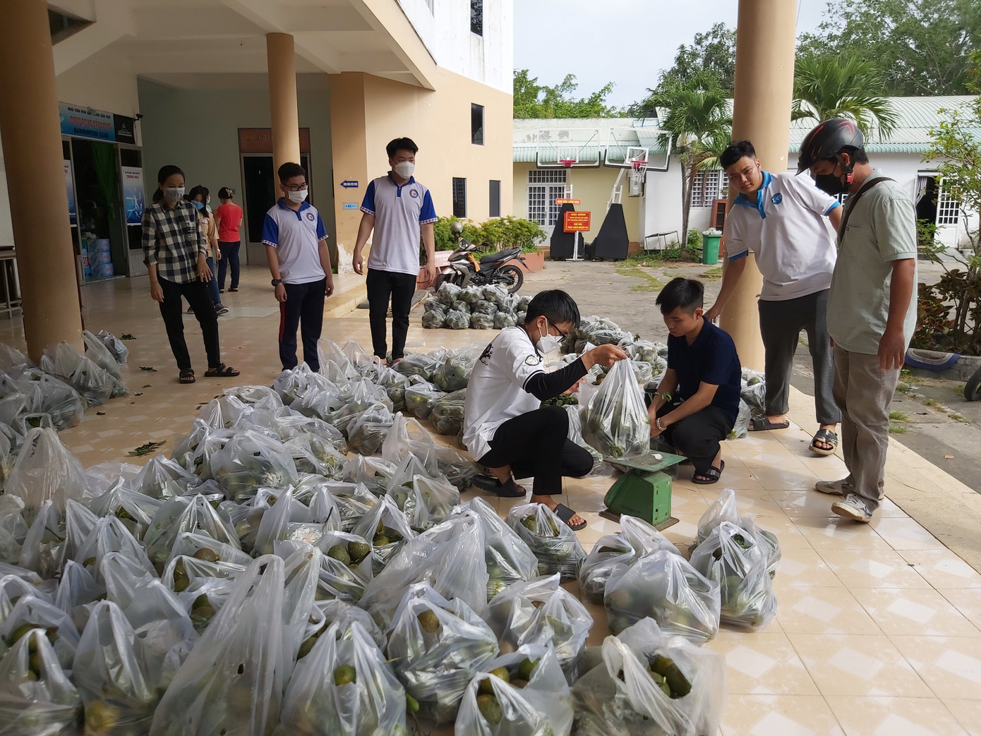 Các bạn đoàn viên thanh niên TP Cần Thơ hỗ trợ tiêu thụ cam sành giúp nông dân. Ảnh: Hòa Bình