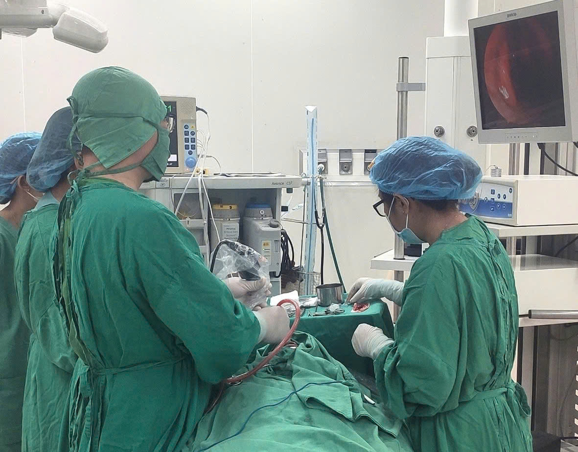 Bác sĩ phẫu thuật mũi cho bệnh nhân bị chó hàng xóm cắn. Bác sĩ phẫu thuật mũi cho bệnh nhân bị chó hàng xóm cắn.