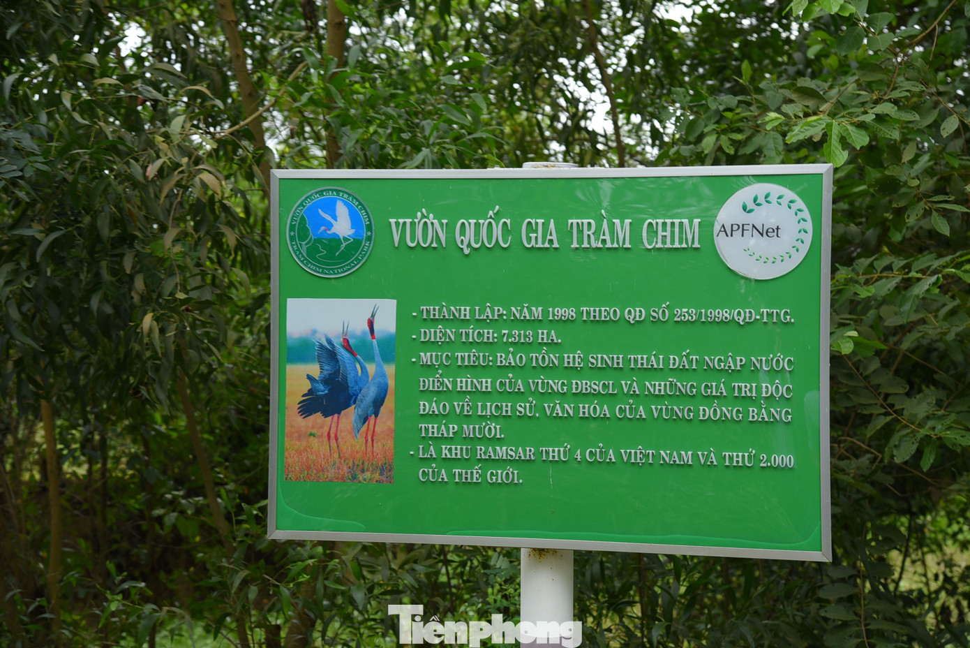 Vườn Quốc gia Tràm Chim có diện tích 7.313ha, chia thành 5 phân khu chức năng từ A1 đến A5. Ảnh: Hòa Hội