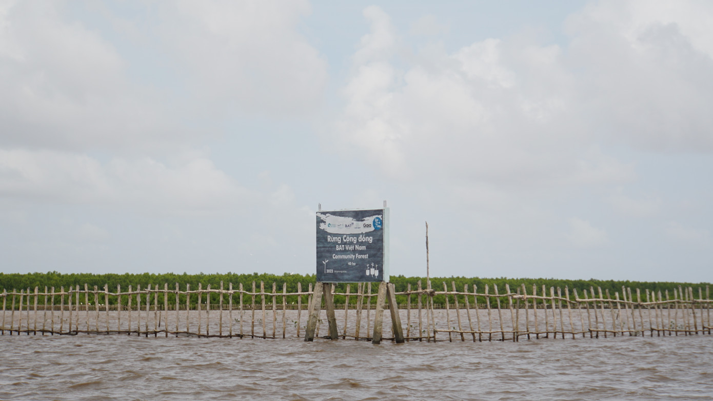 Khu vực bãi bồi Mũi Cà Mau. Đoàn công tác khảo sát khu vực bãi bồi ven biển mũi Cà Mau.