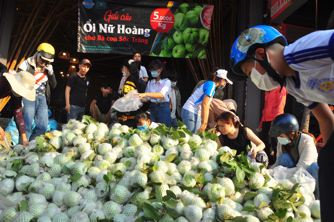 Mấy ngày nay, khoảng 16 giờ tại góc đường Trần Văn Khéo - Lê Lợi (quận Ninh Kiều, TP Cần Thơ) trở nên nhộn nhịp khi đông đảo bạn trẻ, người dân đến mua ủng hộ ổi nữ hoàng với giá 5.000 đồng/kg để hỗ trợ cho bà con nông dân ở huyện Kế Sách (Sóc Trăng). - Ảnh: Hòa Hội