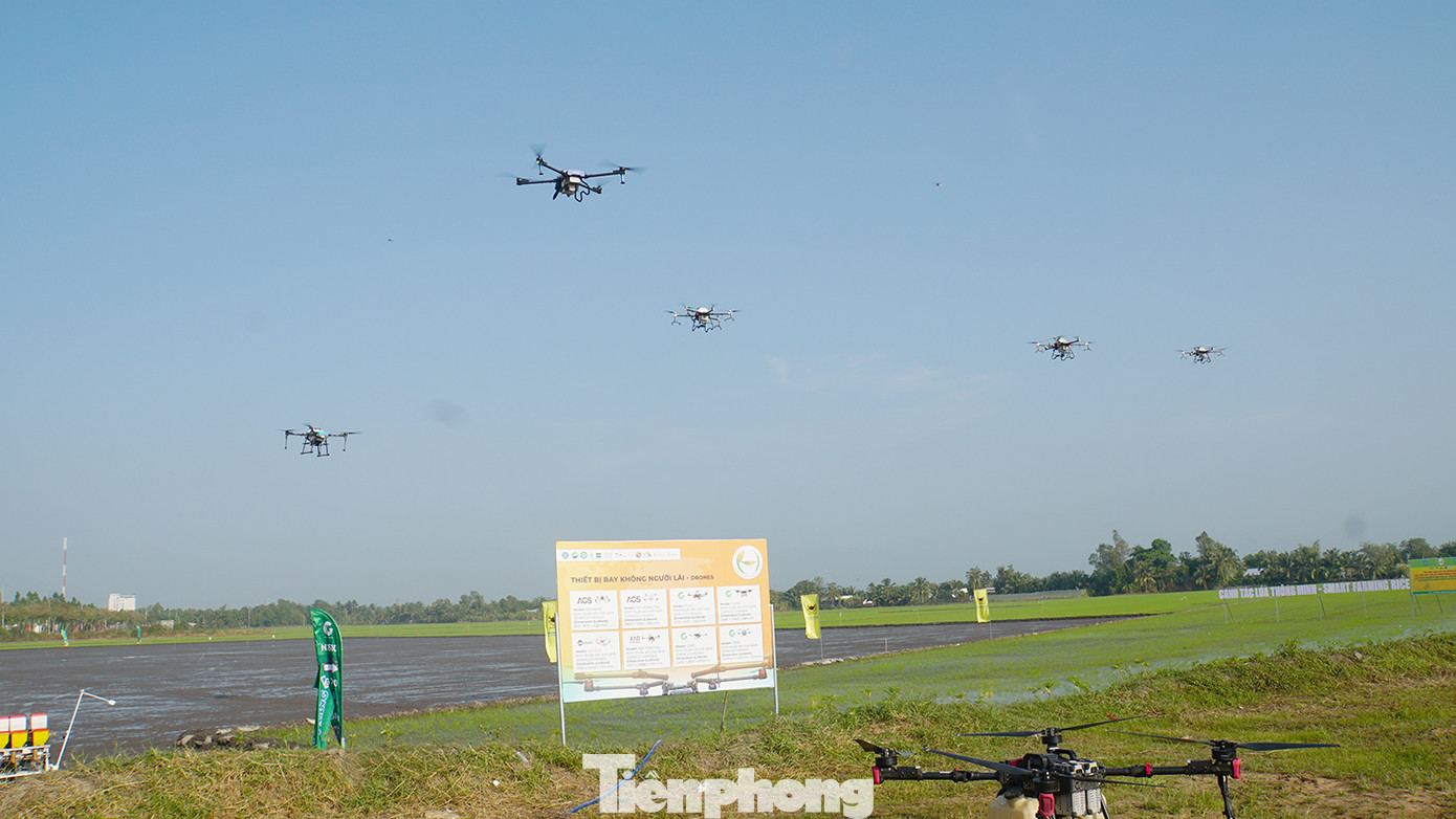 Các doanh nghiệp mong muốn đồng hành cùng người nông dân trong Đề án "Phát triển bền vững một triệu hecta chuyên canh lúa chất lượng cao và phát thải thấp gắn với tăng trưởng xanh vùng Đồng bằng Sông Cửu Long đến năm 2030", góp phần vào sự phát triển xanh và bền vững của nền nông nghiệp Việt Nam. Ảnh: Hòa Hội.