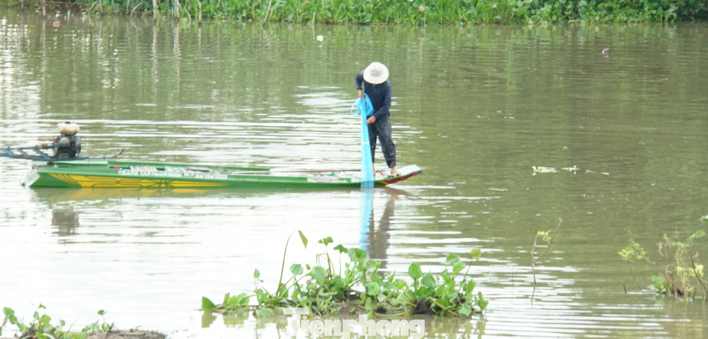 Người dân quăng chài bắt cá ở cặp kênh Vĩnh Tế, TP Châu Đốc, An Giang. Ảnh: Hòa Hội