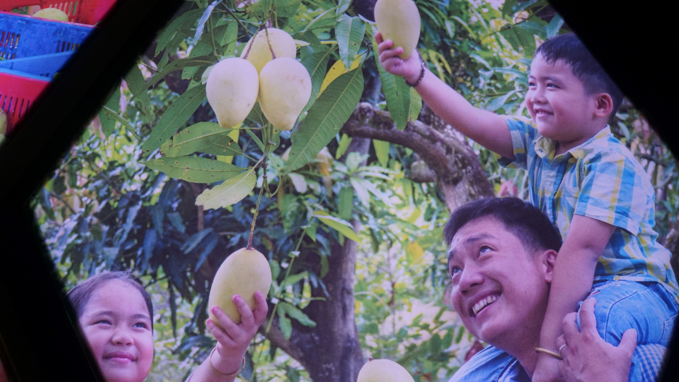 Hình ảnh nông dân trồng xoài được tái hiện tại không gian thực tế ảo. Ảnh: An Bình