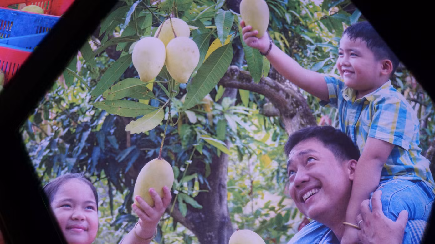 Hình ảnh nông dân trồng xoài được tái hiện tại không gian thực tế ảo. Ảnh: An Bình